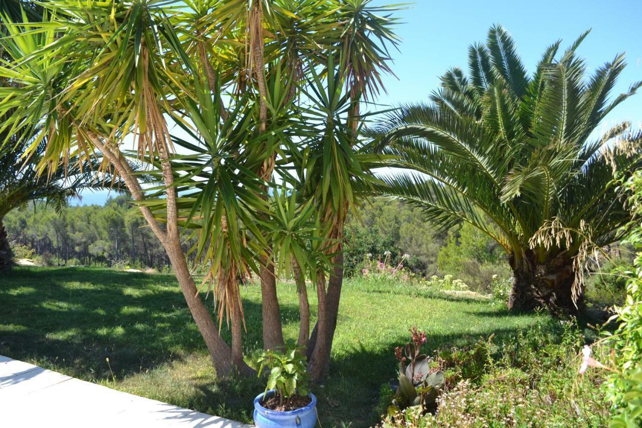 Gîte Vue Mer La Cadière-d'Azur Exterior foto